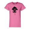 ComfortSoft® Women’s Short Sleeve T-Shirt Thumbnail