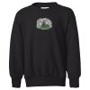 Youth EcoSmart® Crewneck Sweatshirt Thumbnail