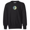 Youth EcoSmart® Crewneck Sweatshirt Thumbnail