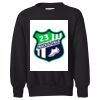 Youth EcoSmart® Crewneck Sweatshirt Thumbnail