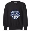 Youth EcoSmart® Crewneck Sweatshirt Thumbnail