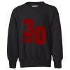 Youth EcoSmart® Crewneck Sweatshirt Thumbnail